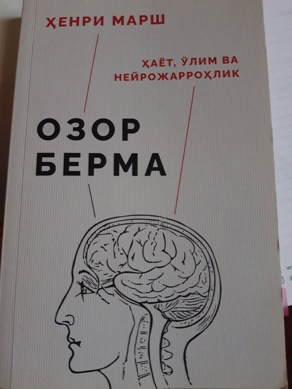 Ozor berma