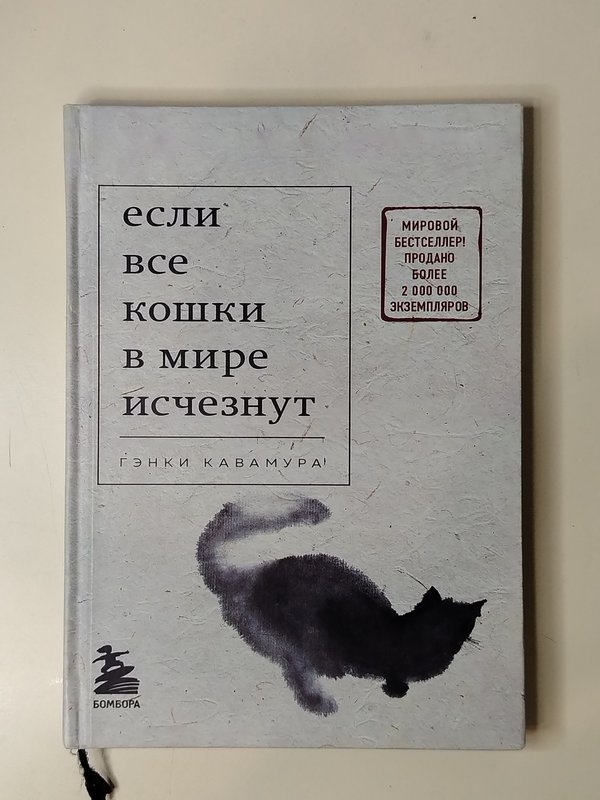 Если все кошки в мире исчезнут.